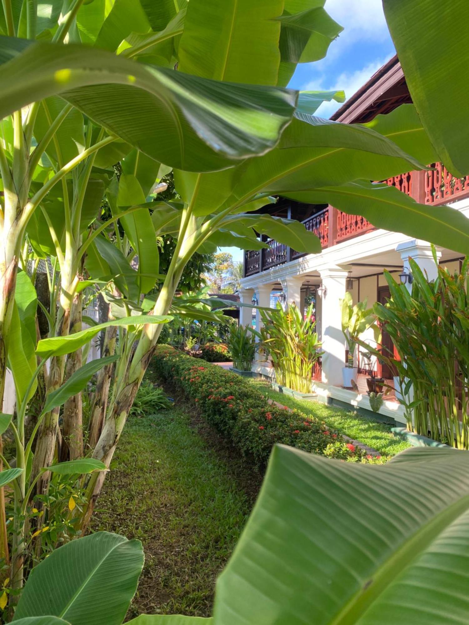 Luang Prabang Residence & Travel Dış mekan fotoğraf